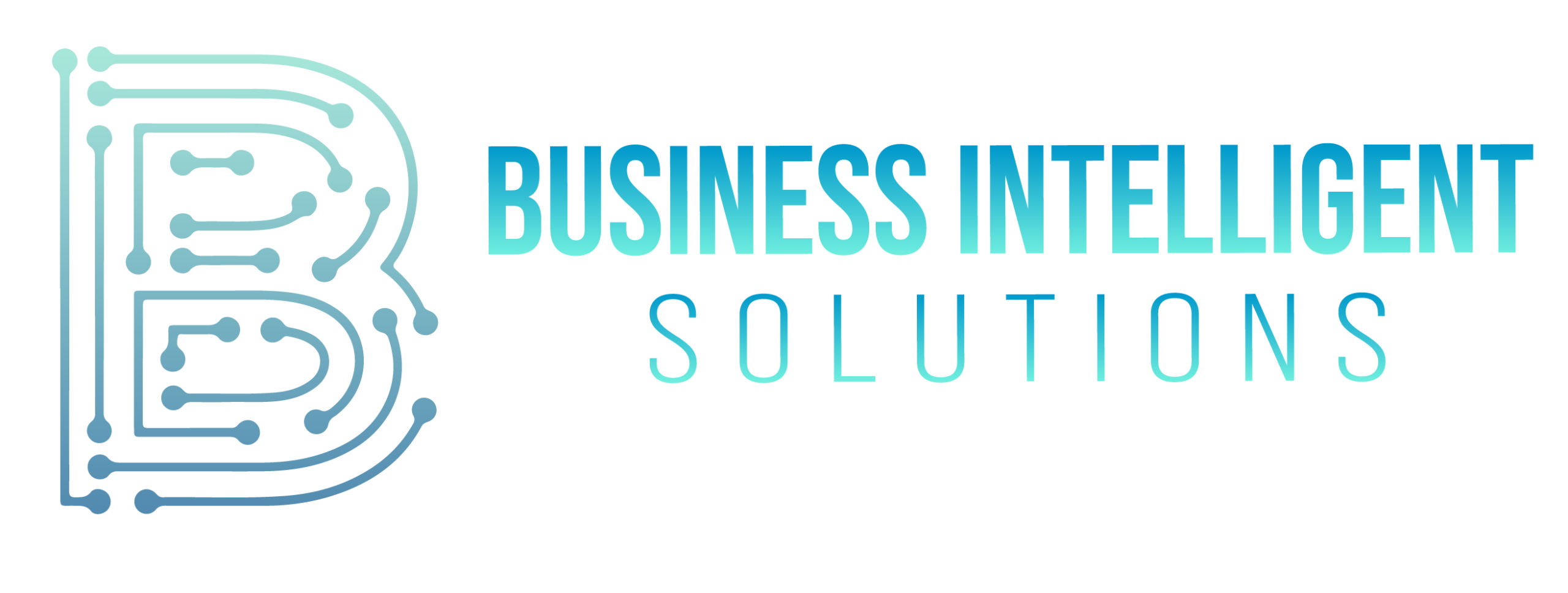 Business Intelligent Solutions